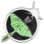 Custom Hard Enamel Lapel Pin