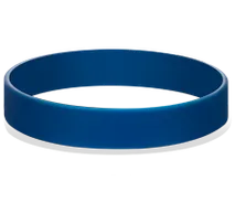 Royal Blue (PMS 541)